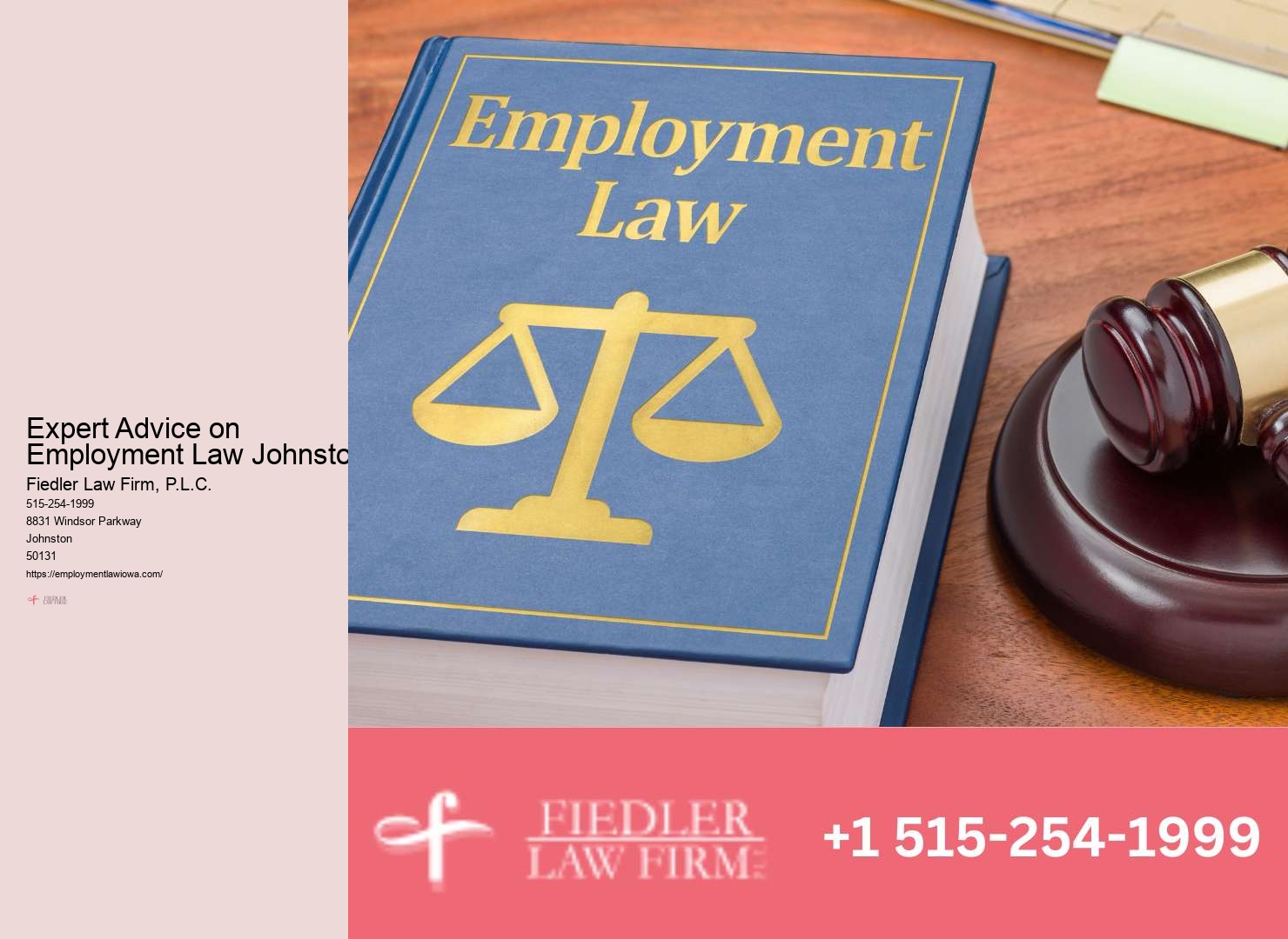 Employment Lawyer Johnston support