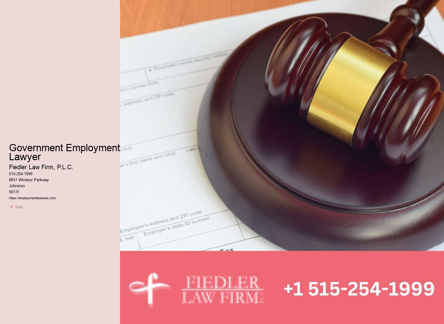 Expert Government Employment Lawyer Johnston