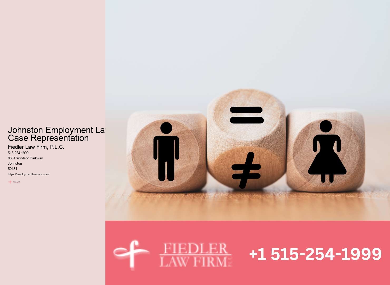 Johnston Employment Law Consultation Expert