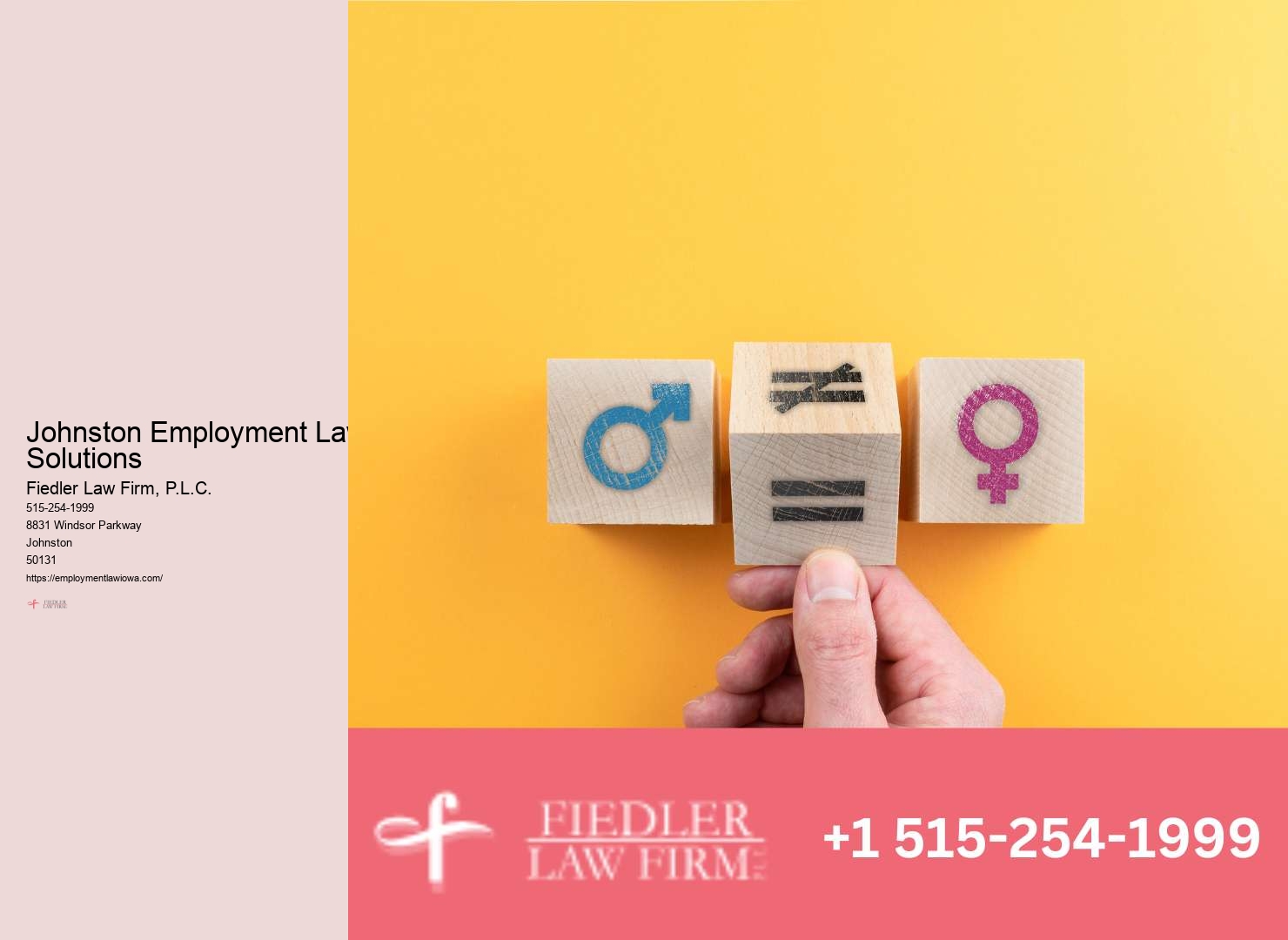 Leading Johnston Employment Lawyer