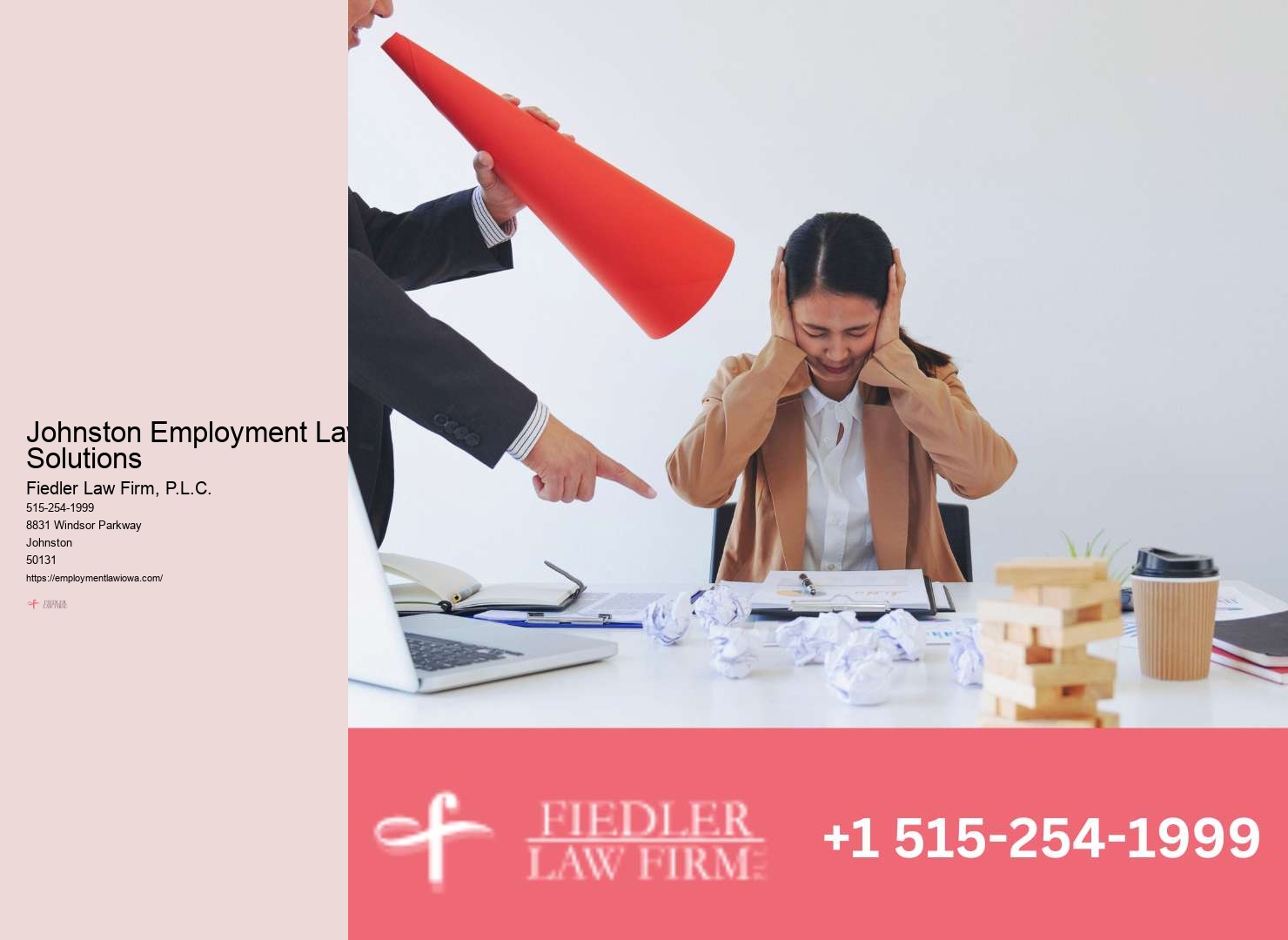 Premier Employment Law Consultant in Johnston