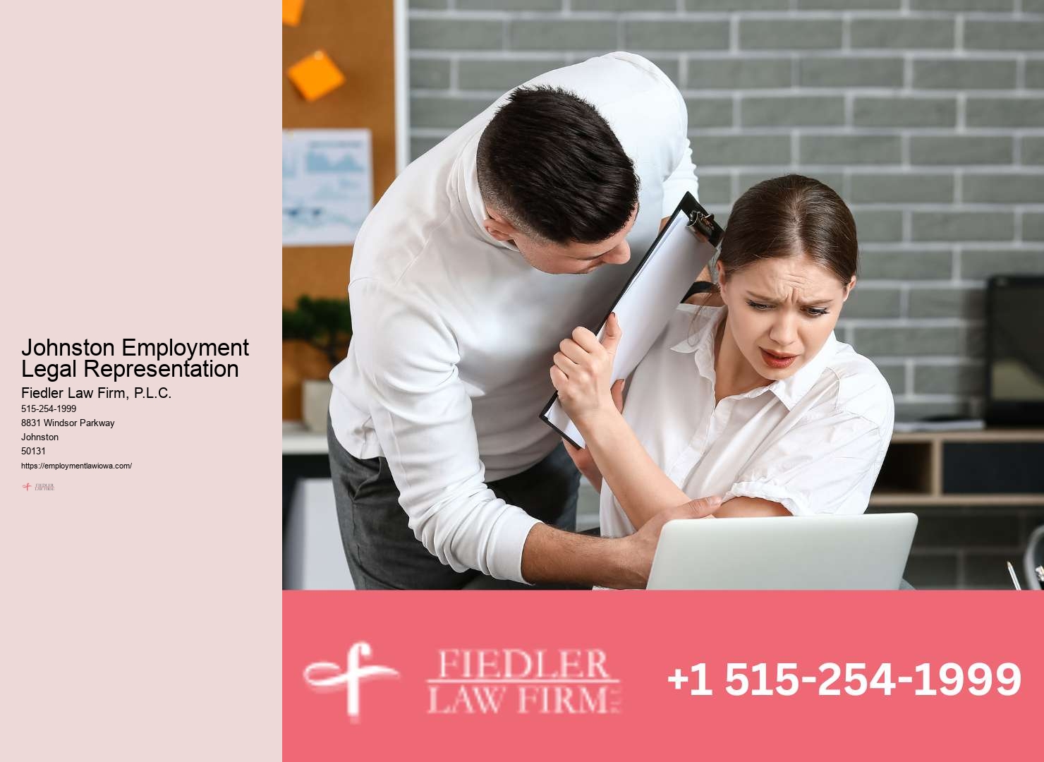 Specialized Government Employment Lawyer Johnston