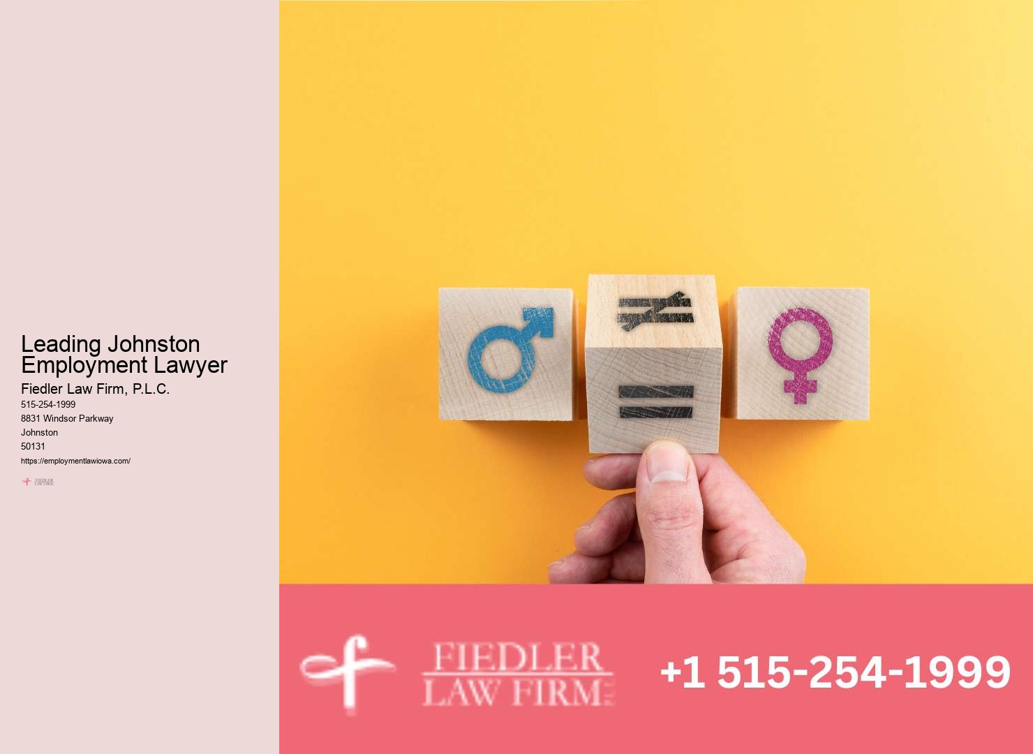 Employment Lawyer Johnston consultation