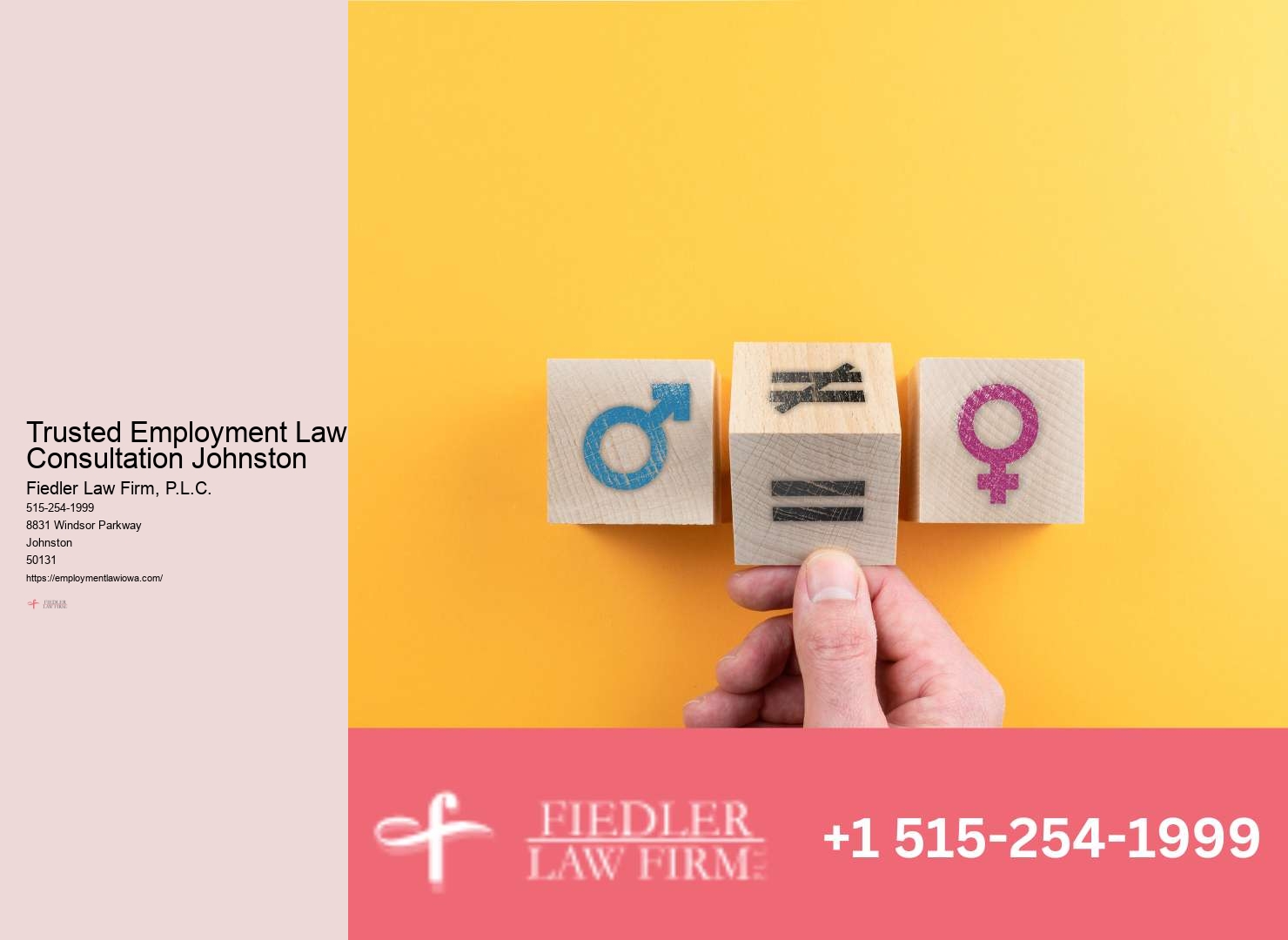 Proven Johnston Employment Law Experts