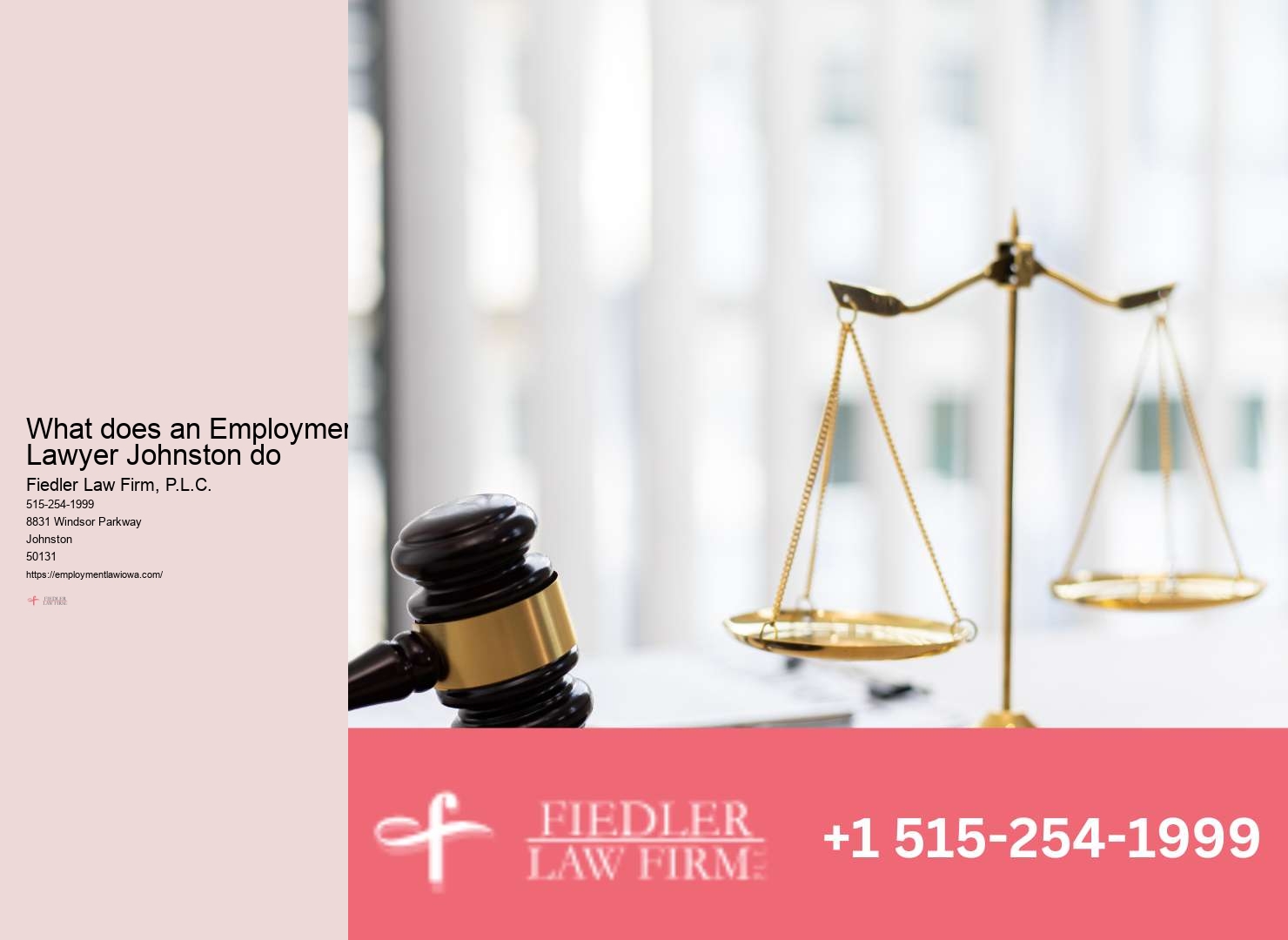 Johnston Employment Law Firm Excellence