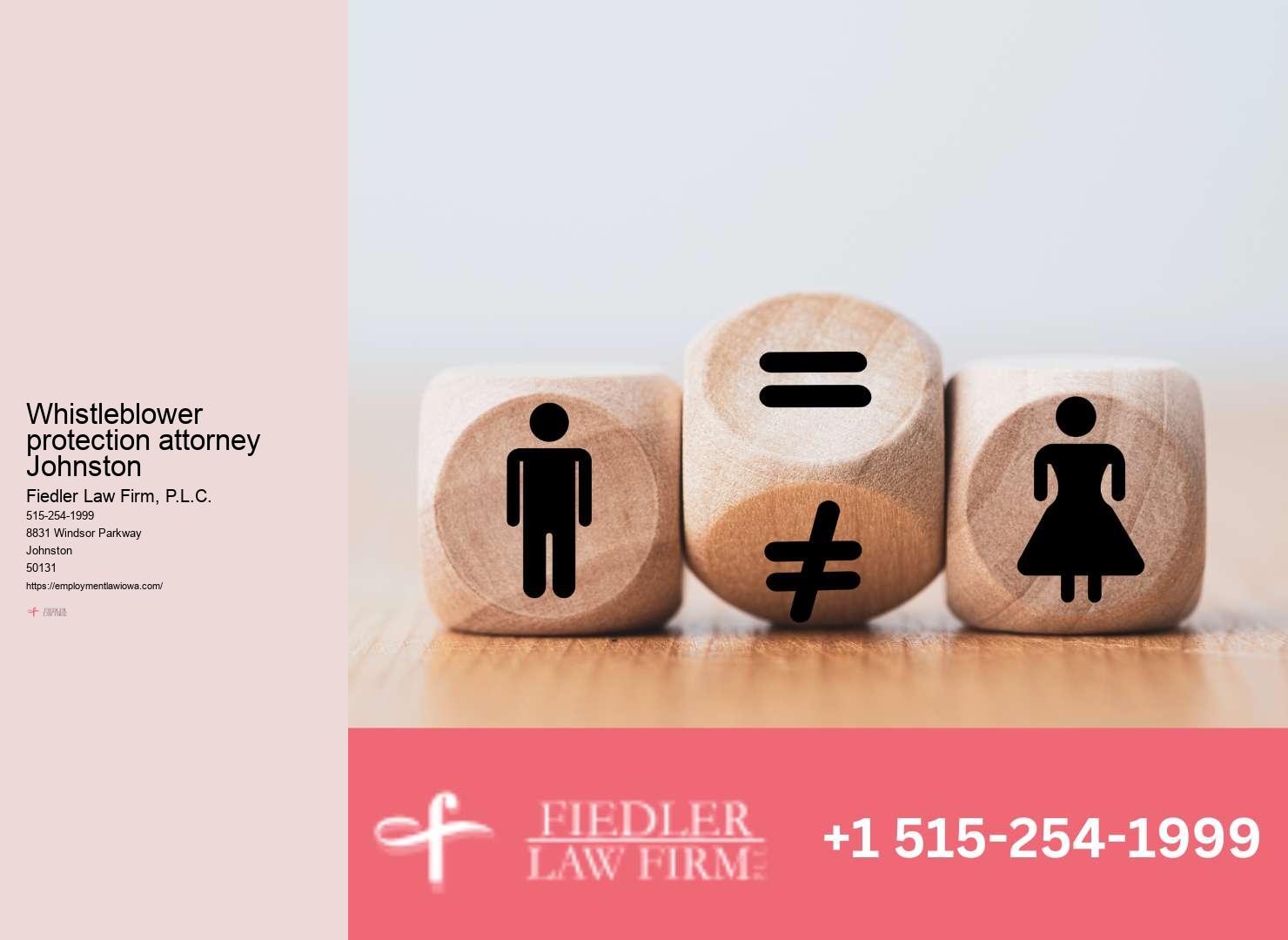 Expert Government Employment Lawyer in Johnston