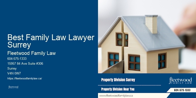 Best Family Law Lawyer Surrey Family Law Custody Disputes Attorney