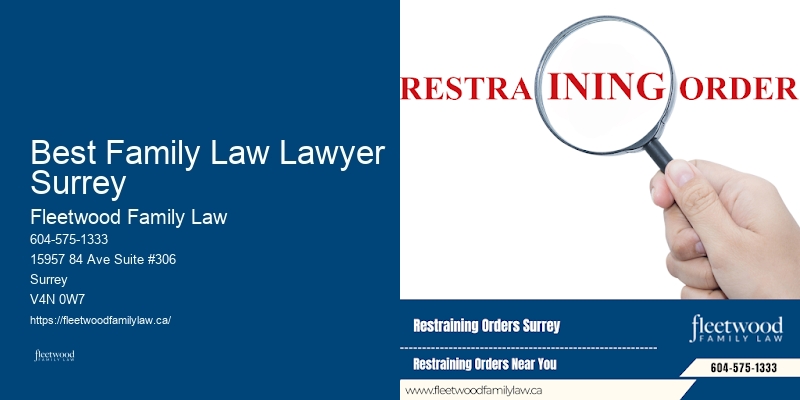 Affordable Guardianship Lawyer Best Family Law Lawyer Surrey