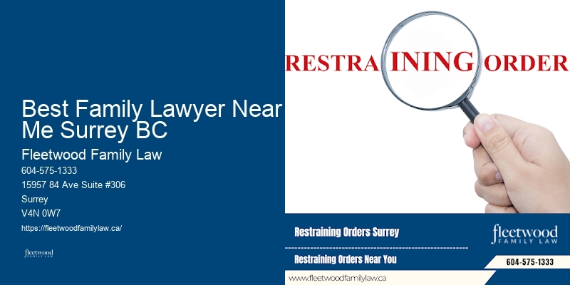 Family Law Appeals Best Family Lawyer Near Me Surrey BC