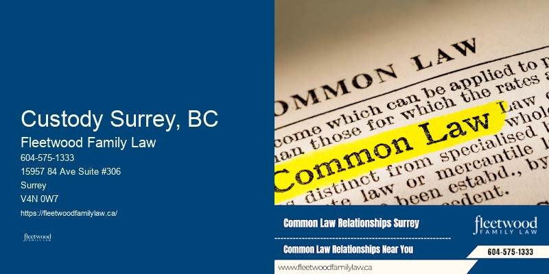 Family Law Appeals Custody Surrey, BC