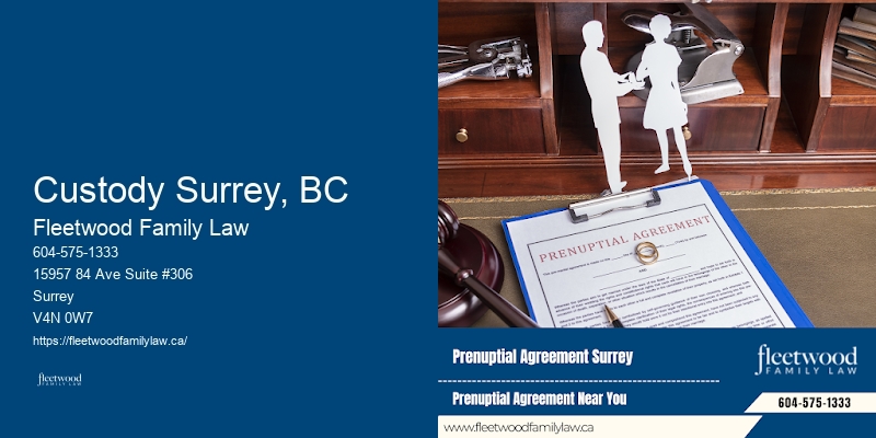 Affordable Family Law Services Custody Surrey, BC BC