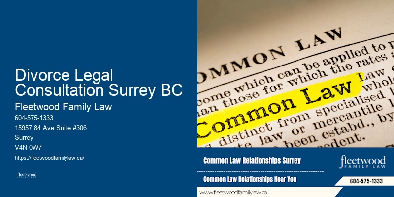 Child Visitation Rights Lawyer Divorce Legal Consultation Surrey BC