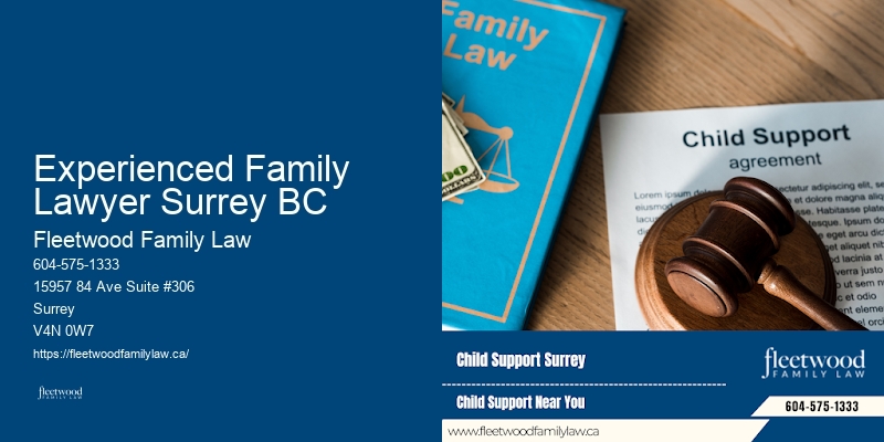Child Support Lawyer Experienced Family Lawyer Surrey BC BC