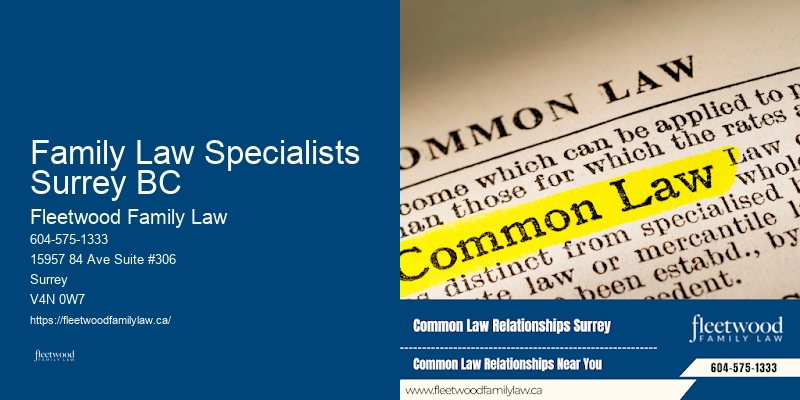 High-Conflict Divorce Family Law Specialists Surrey BC