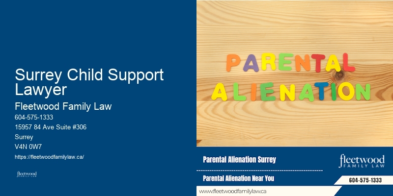 Surrey Child Support Lawyer Family Law and Guardianship Issues