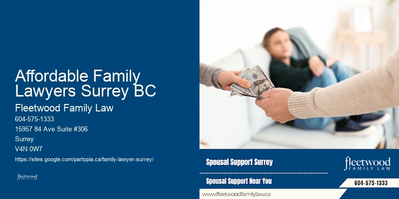 Child Support Disputes Affordable Family Lawyers Surrey BC BC
