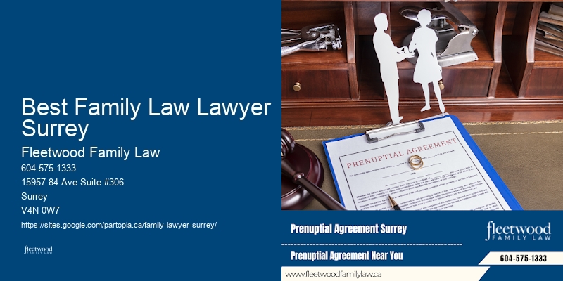 Family Law Consultation Best Family Law Lawyer Surrey, BC