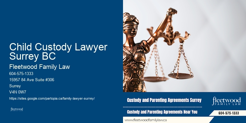 Best Child Custody Lawyer in Child Custody Lawyer Surrey BC