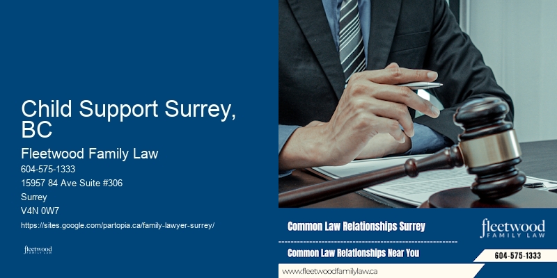 Divorce Lawyers Near Me Child Support Surrey, BC, BC