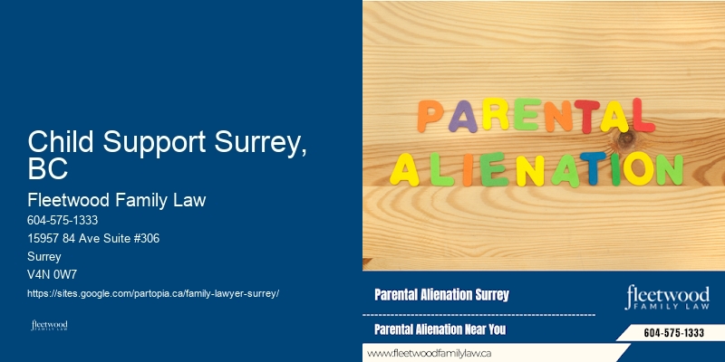Affordable Guardianship Lawyer Child Support Surrey, BC