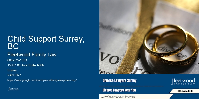 Complex Divorce Cases Child Support Surrey, BC