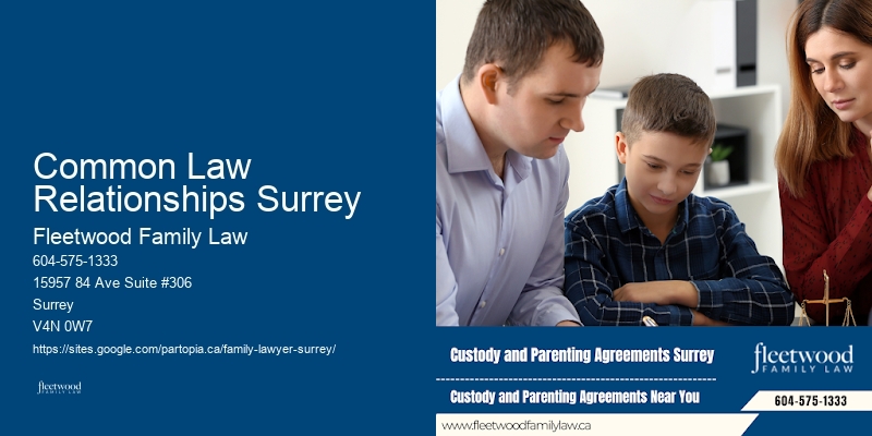 Common Law Relationships Surrey BC Custody Modification Lawyer