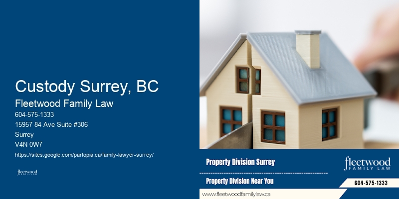 Experienced Family Lawyer Custody Surrey, BC