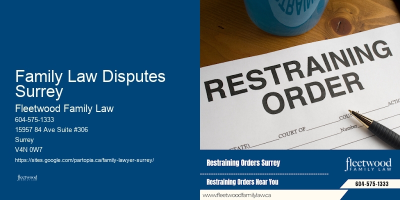 Family Law Disputes Surrey Family Law and Child Custody Attorney