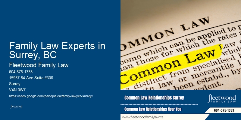 Family Law Experts in Surrey, BC Divorce and Custody Services