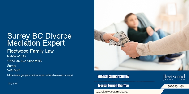 Surrey BC Divorce Mediation Expert BC Divorce Settlement Lawyer