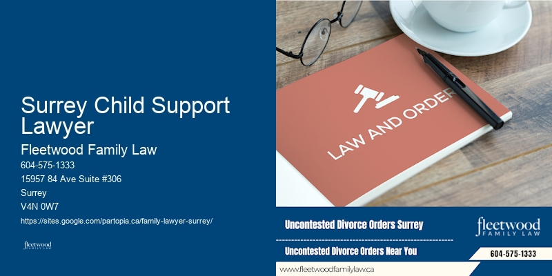 Surrey Child Support Lawyer Collaborative Divorce Lawyer