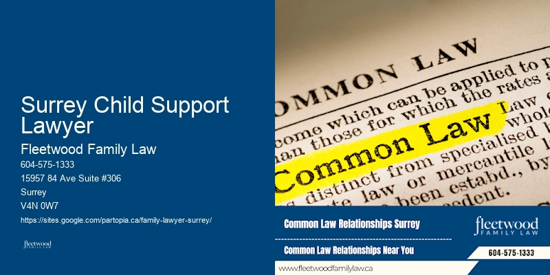 Family Law Solicitor Surrey Child Support Lawyer BC