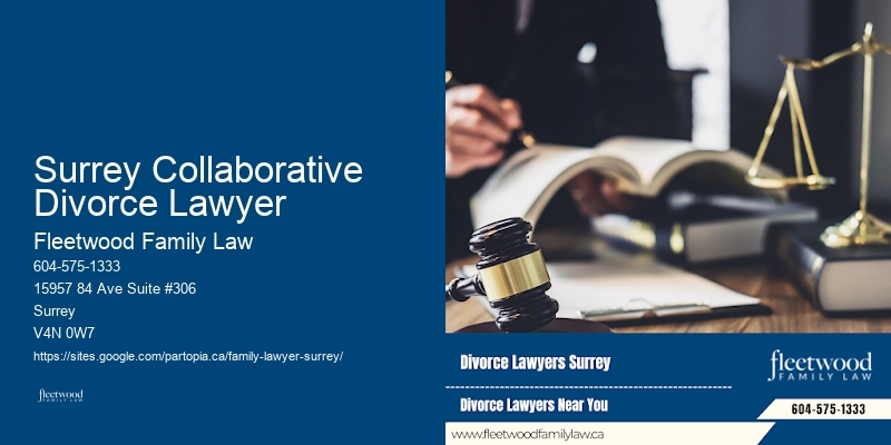 Guardianship Dispute Lawyer Surrey Collaborative Divorce Lawyer BC