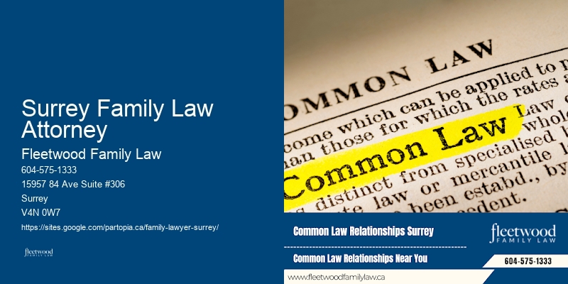 Surrey Family Law Attorney Family Law Advocacy