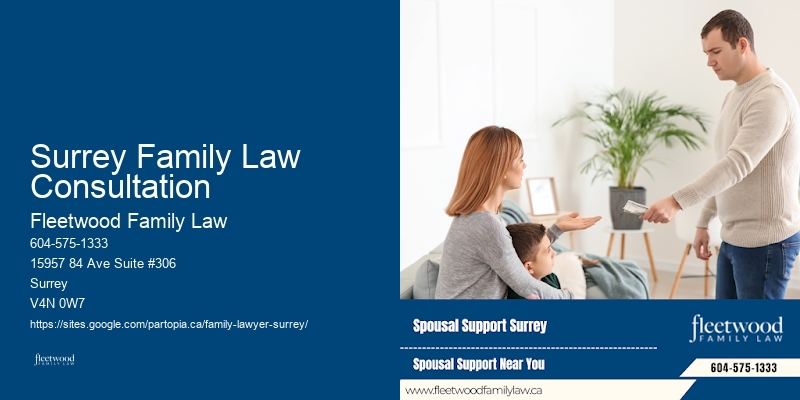 Child Support Lawyer Near Me Surrey Family Law Consultation
