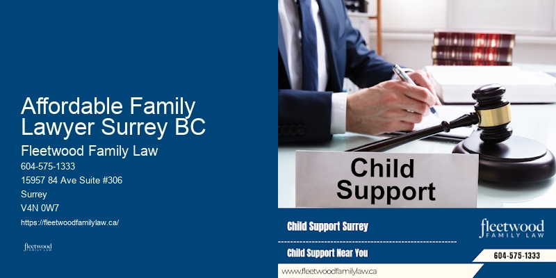 Custody and visitation lawyer Affordable Family Lawyer Surrey BC