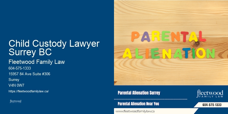 Custody Battle Representation Child Custody Lawyer Surrey BC BC