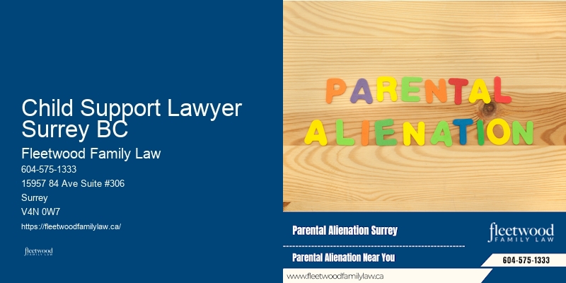 Family law and child advocacy experts Child Support Lawyer Surrey BC