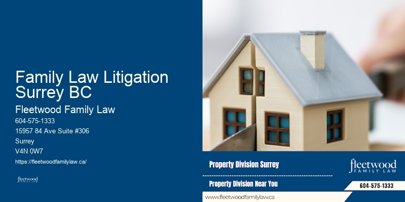 Custody and visitation attorney Family Law Litigation Surrey BC