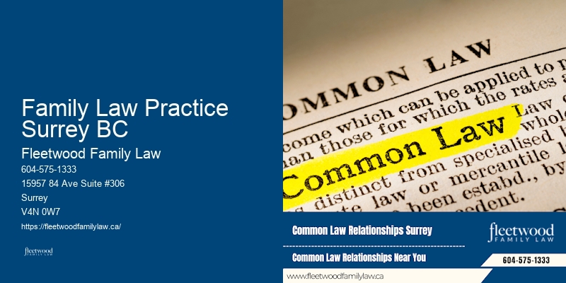 Family Law Practice Surrey BC BC Professional Family Lawyers