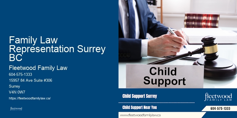 Family Law Representation Surrey BC BC Grandparents' Rights Lawyer