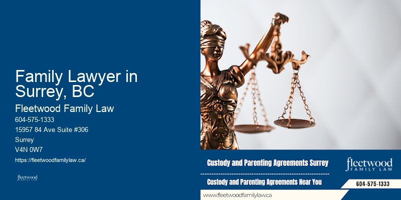 Family Lawyer in Surrey, BC BC Family Law Consultation Online