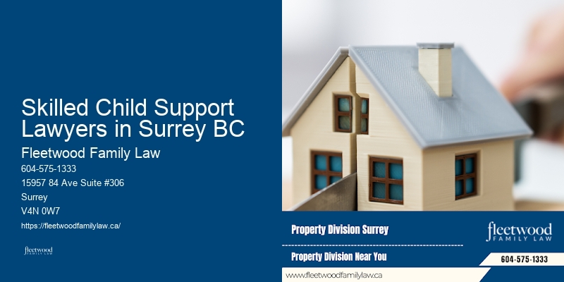 Skilled Child Support Lawyers in Surrey BC BC Family Law Litigators