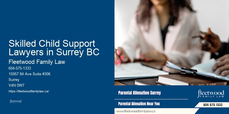 Skilled Child Support Lawyers in Surrey BC BC Divorce Resolution Lawyer