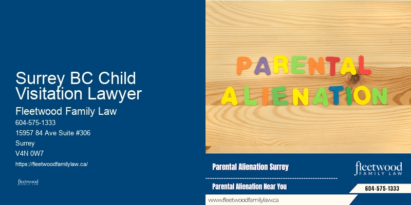 Surrey BC Child Visitation Lawyer BC Family Law Expert Attorney