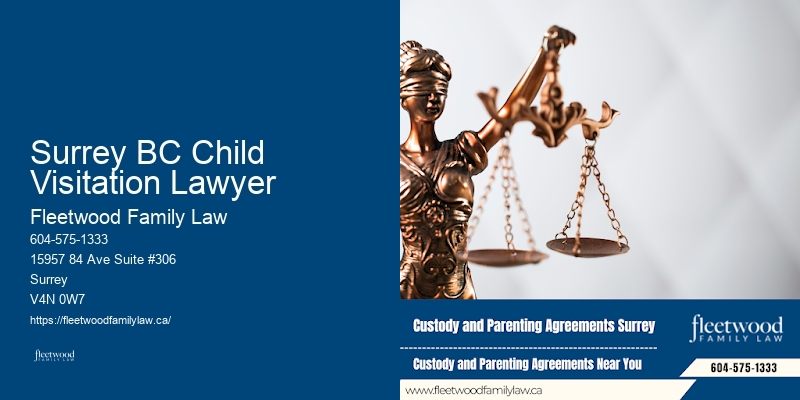 Family Law Case Review Surrey BC Child Visitation Lawyer BC