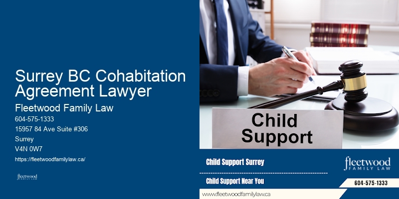 Divorce Lawyers for Mothers Surrey BC Cohabitation Agreement Lawyer BC