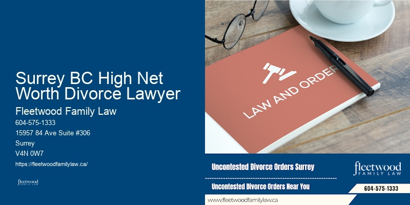 Custody Battle Representation Surrey BC High Net Worth Divorce Lawyer BC