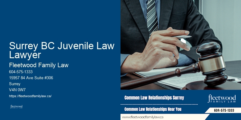 Trusted Family Law Representation Surrey BC Juvenile Law Lawyer BC