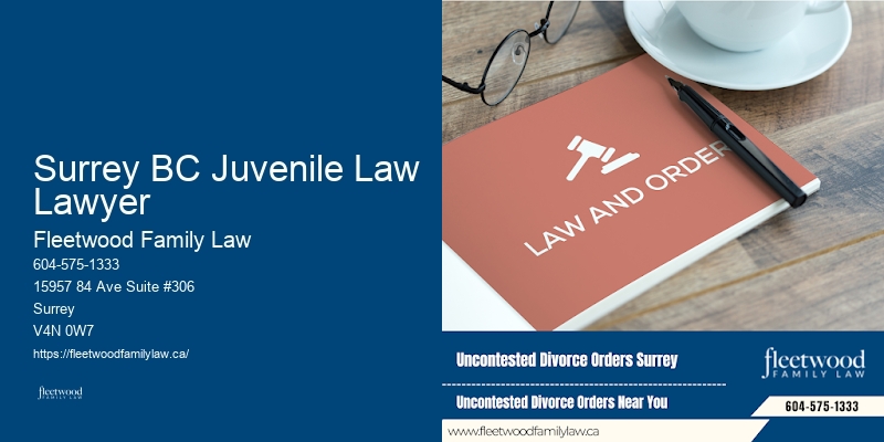 Domestic Abuse Legal Aid Surrey BC Juvenile Law Lawyer BC